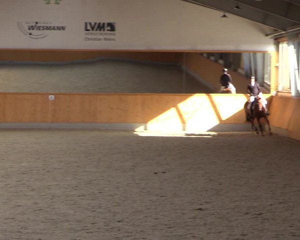 Reitturnier Münster-Amelsbüren 2023