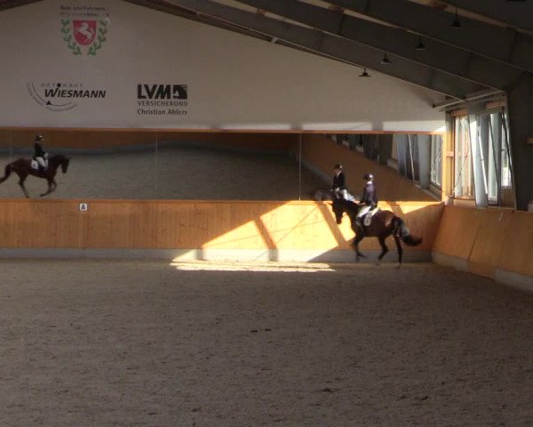 Reitturnier Münster-Amelsbüren 2023