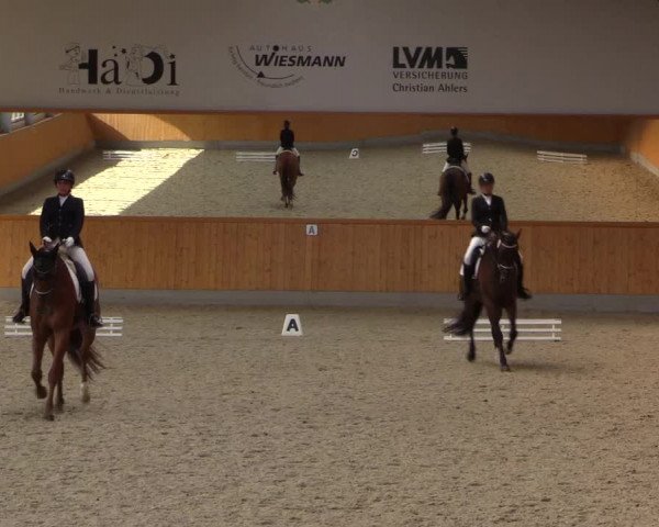Reitturnier Münster-Amelsbüren 2023