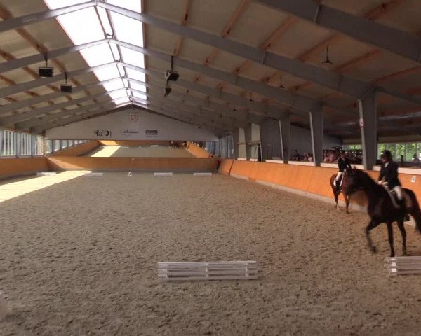 Reitturnier Münster-Amelsbüren 2023