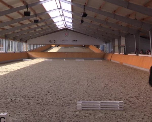 Reitturnier Münster-Amelsbüren 2023