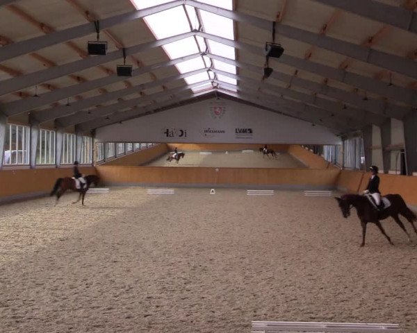 Reitturnier Münster-Amelsbüren 2023
