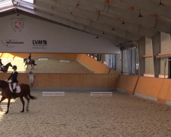 Reitturnier Münster-Amelsbüren 2023