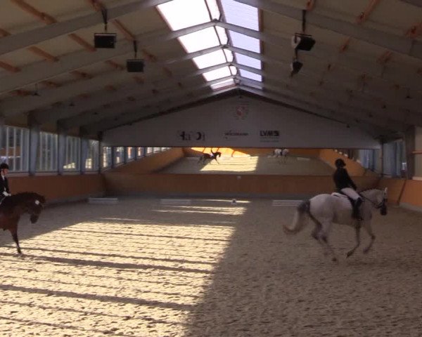 Reitturnier Münster-Amelsbüren 2023
