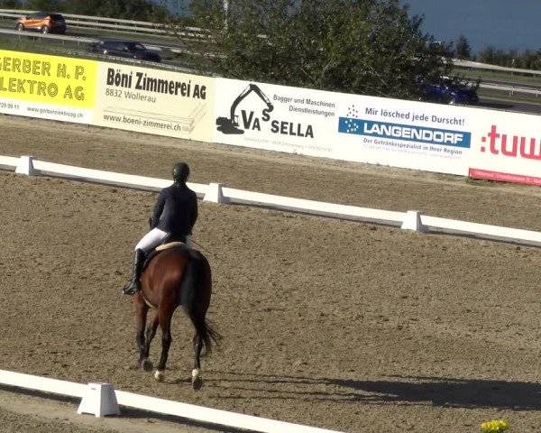 Reitturnier Wädenswil 2023