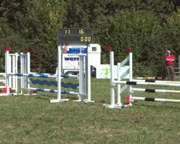 Concours Olsberg 2021