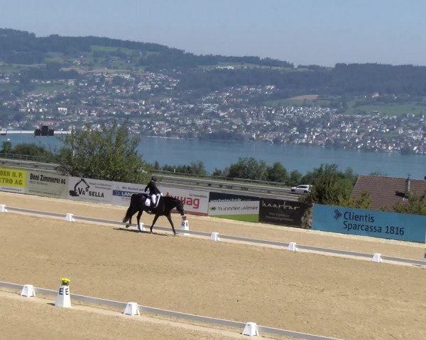 Reitturnier Wädenswil 2023