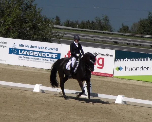 Reitturnier Wädenswil 2023