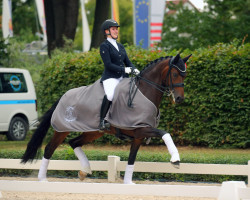 dressage horse Florence 166 (Hanoverian, 2015, from Franziskus FRH)