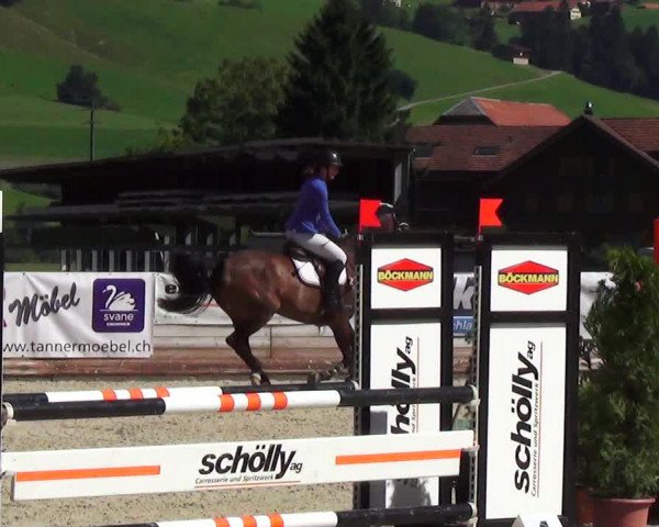 Reitturnier Schüpfheim 2023