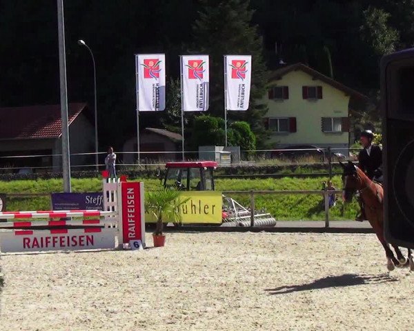 Reitturnier Schüpfheim 2023