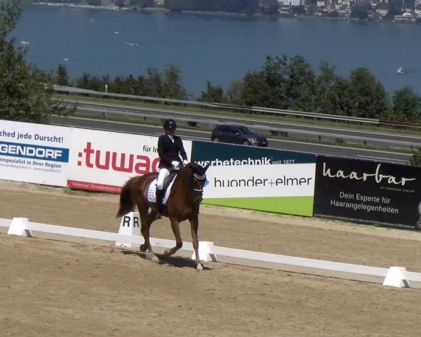 Reitturnier Wädenswil 2023