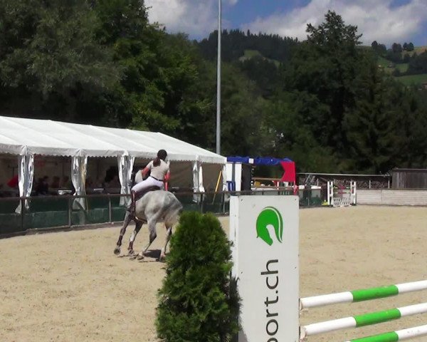 Reitturnier Schüpfheim 2023