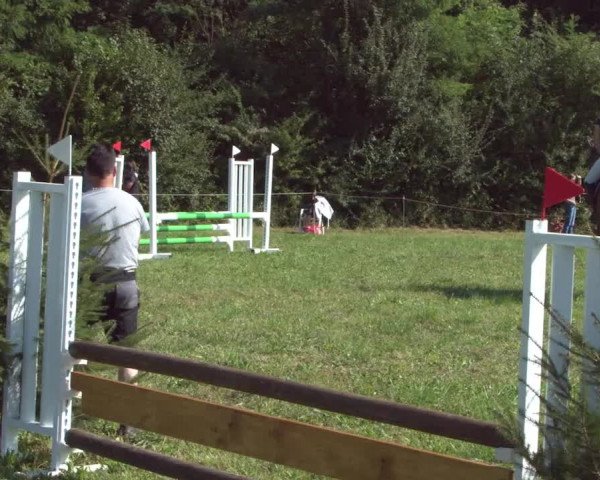 Concours Olsberg 2021