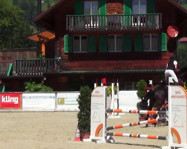 Reitturnier Schüpfheim 2023