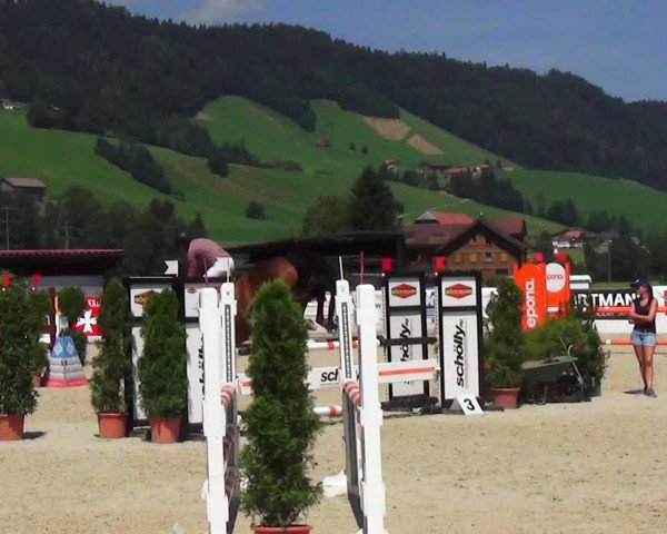 Reitturnier Schüpfheim 2023