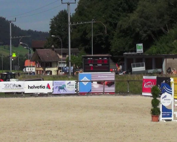 Reitturnier Schüpfheim 2023