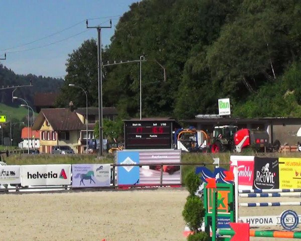 Reitturnier Schüpfheim 2023