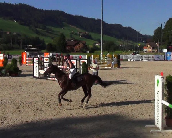 Reitturnier Schüpfheim 2023