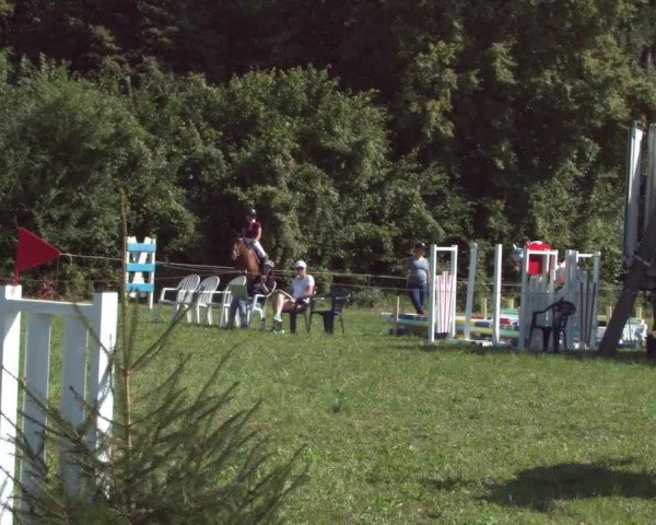 Concours Olsberg 2021