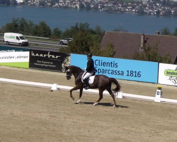 Reitturnier Wädenswil 2023