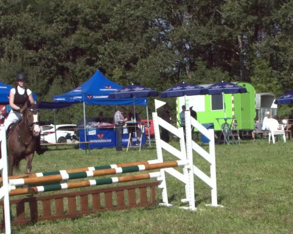 Concours Olsberg 2021