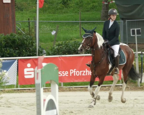 Reitturnier Oberderdingen 2023
