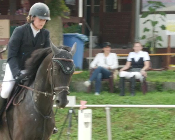 Reitturnier Oberderdingen 2023