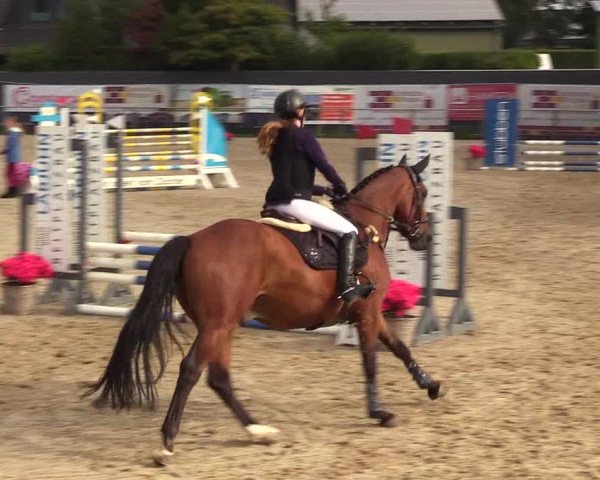 Reitturnier Behrendorf 2023