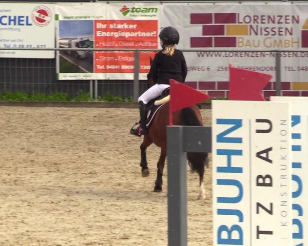 Reitturnier Behrendorf 2023