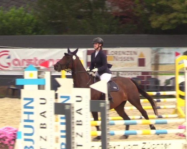 Reitturnier Behrendorf 2023
