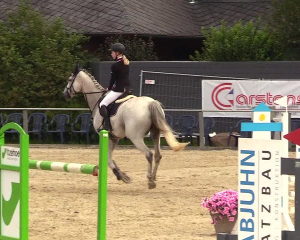 Reitturnier Behrendorf 2023