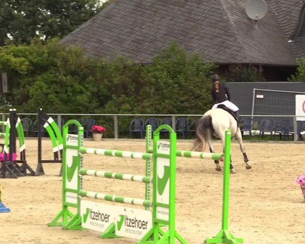 Reitturnier Behrendorf 2023