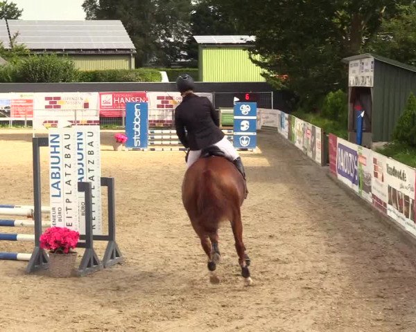 Reitturnier Behrendorf 2023