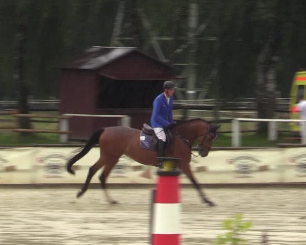 Reitturnier Vellinghausen 2023