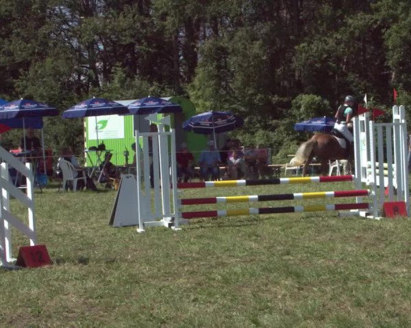 Concours Olsberg 2021