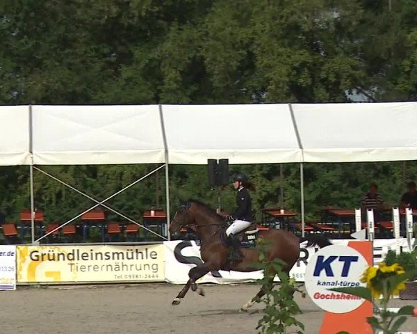 Reitturnier Grafenrheinfeld 2023