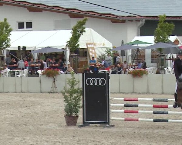 Reitturnier Grafenrheinfeld 2023