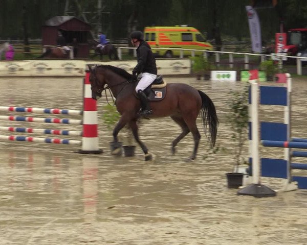 Reitturnier Vellinghausen 2023