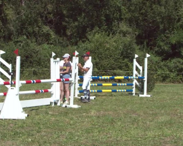 Concours Olsberg 2021