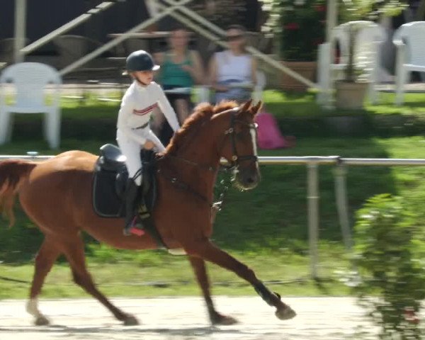 Reitturnier Oberderdingen 2023