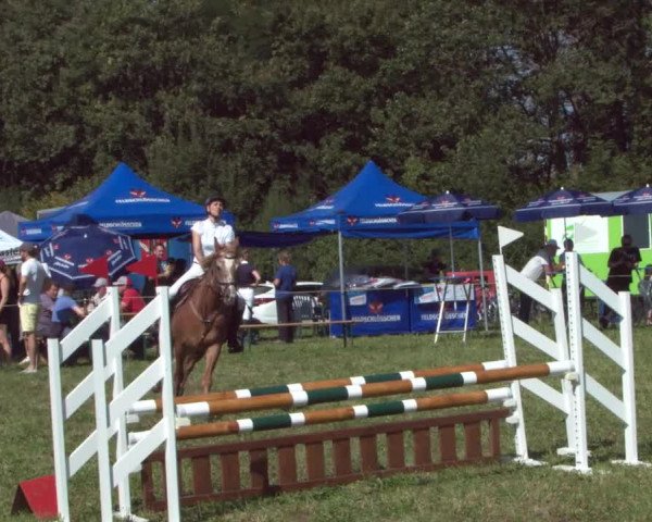 Concours Olsberg 2021