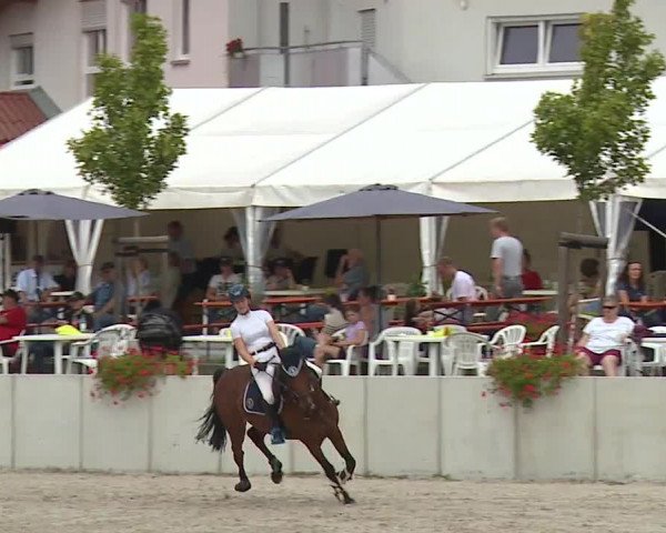 Reitturnier Grafenrheinfeld 2023