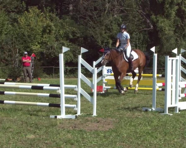 Concours Olsberg 2021