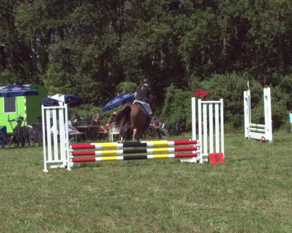 Concours Olsberg 2021