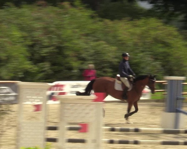 Reitturnier Vellinghausen 2023