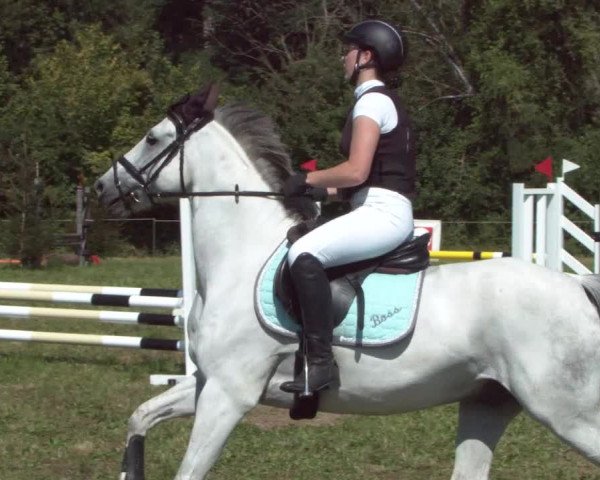 Concours Olsberg 2021