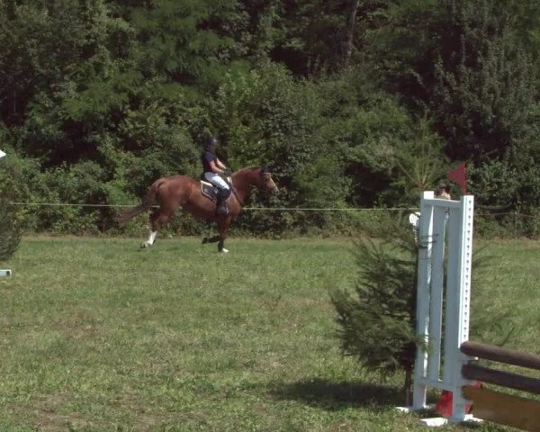Concours Olsberg 2021