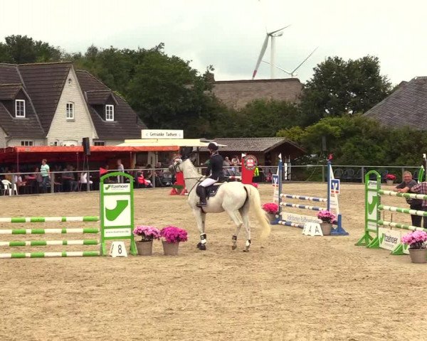 Reitturnier Behrendorf 2023