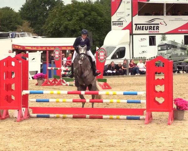 Reitturnier Behrendorf 2023
